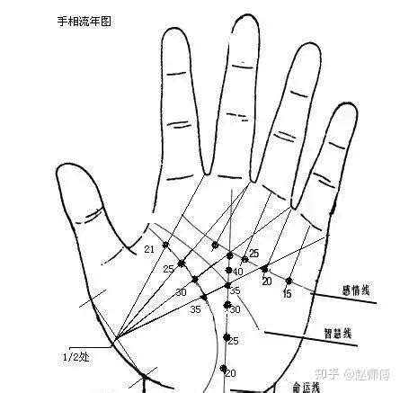 男手相分析|手相图解大全，零基础，读三遍9分钟就会了...